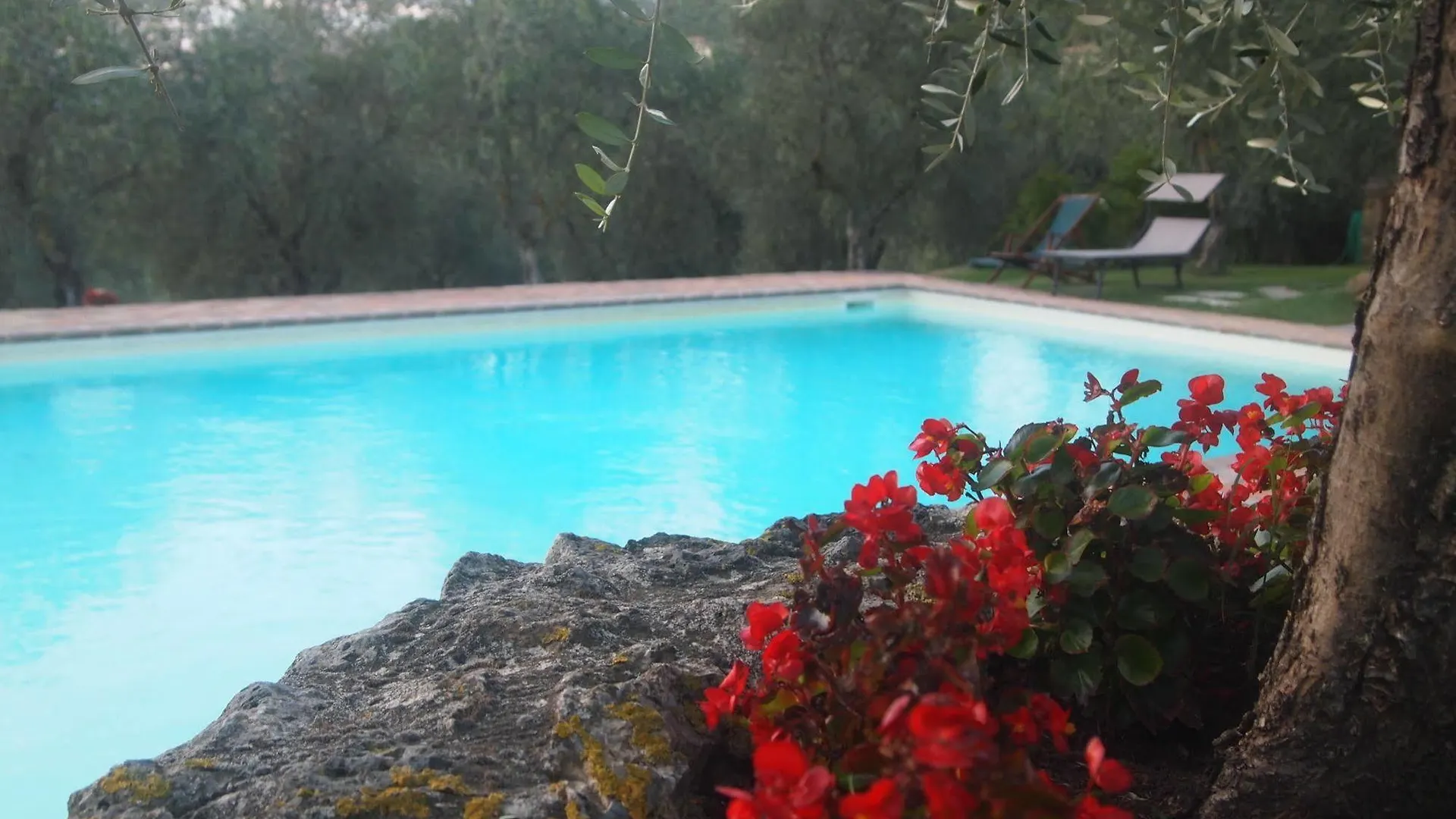 L'Aia Country Holidays Siena